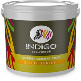 Bright Ceiling Coat 2