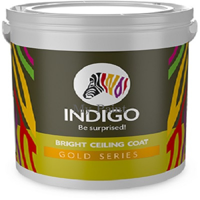 Bright Ceiling Coat 2